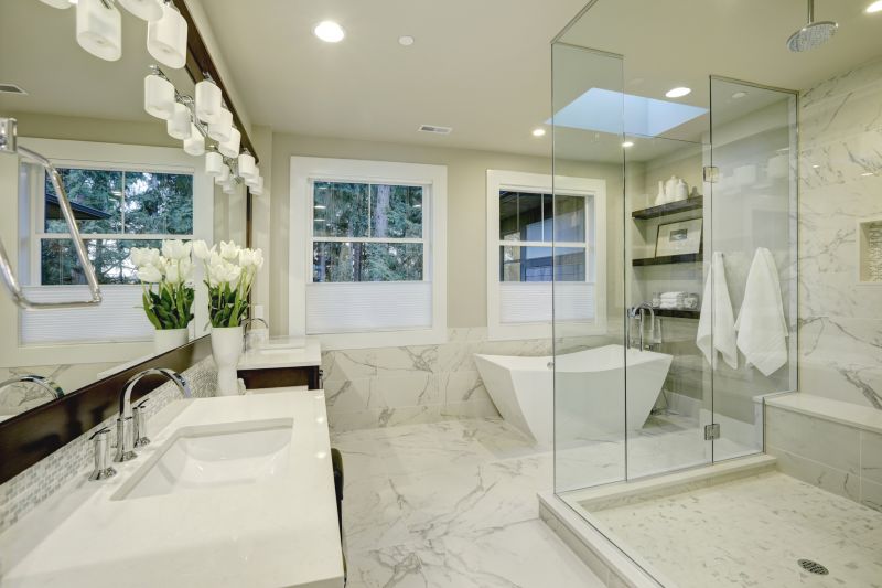 Walk-In Showers with Glass Enclosures